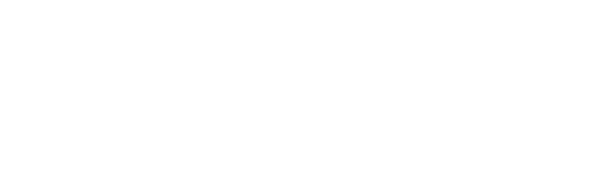 max.a42.ch logo white