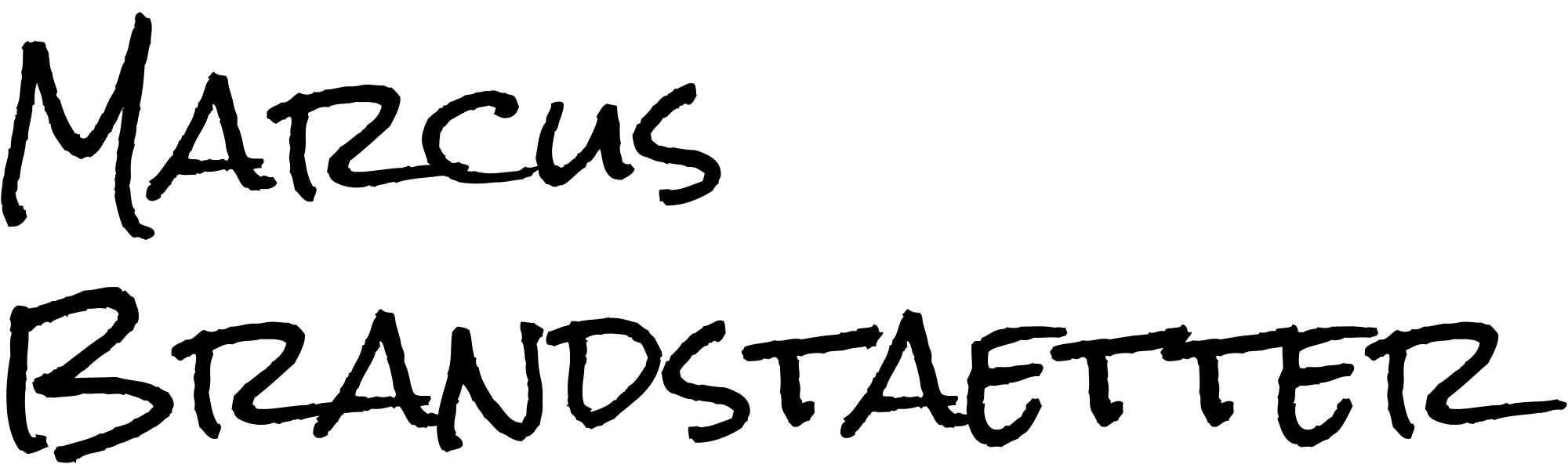 max.a42.ch logo dark